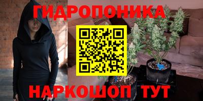 эйфоретик Донской