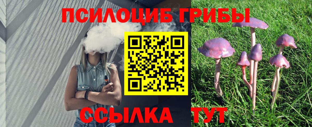 Галлюциногенные грибы Psilocybine cubensis Чехов