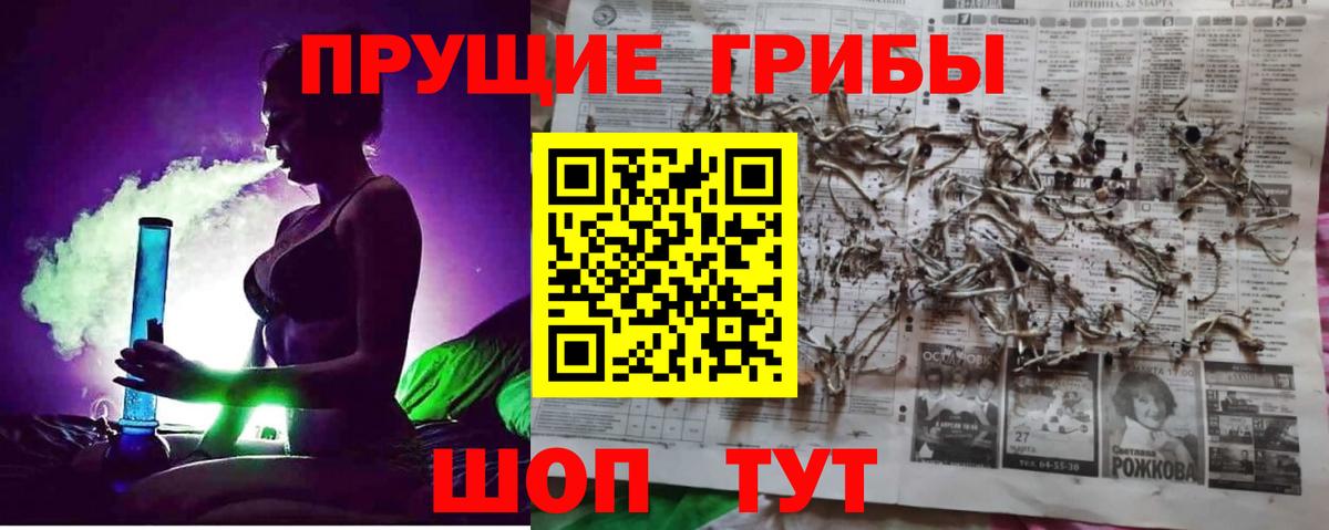 Чехов  Псилоцибиновые грибы ЛСД  Вход с VPN 